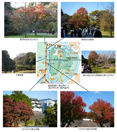 乾門|皇居乾通り一般公開について